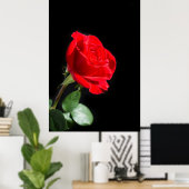 Poster Red rose (Bureau à domicile)
