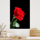Poster Red rose (Cuisine)