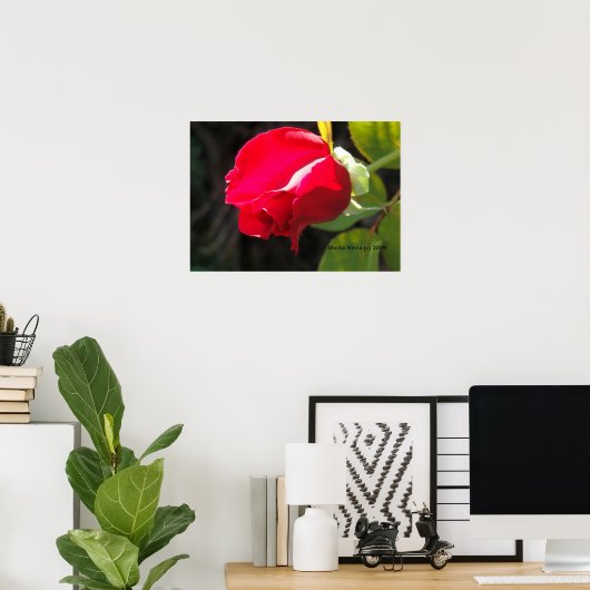 Poster Red Rose Bud Print - Sélectionnez votre cadre (Bureau à domicile)