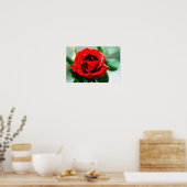Poster Red Rose Love (Cuisine)