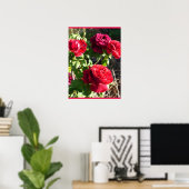 Poster Red Rose Roses Flower Floral Garden Eugene Furst (Bureau à domicile)