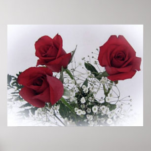 Poster Red Roses