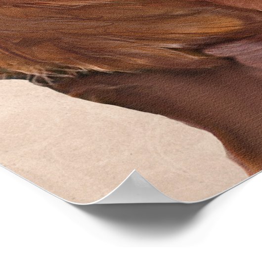 Poster Red Setter Chien Au Vin (Coin)