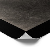 Poster Red Sox White Sox Baseball Photo 1904 (Coin)