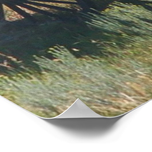 Poster Red Stagecoach Funny (Coin)