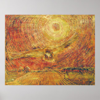 Poster Red Tail Hawk - Vent