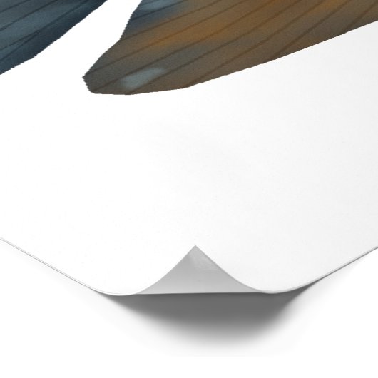 Poster Red Tiger Severum (Coin)