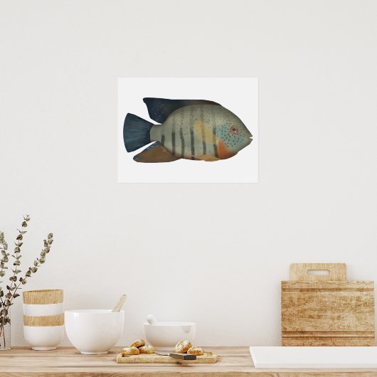 Poster Red Tiger Severum (Cuisine)