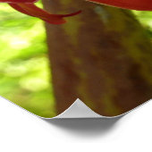 Poster Red Torch Ginger Tropical Flower Photographie (Coin)