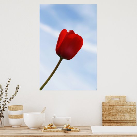 Poster Red Tulip (Cuisine)