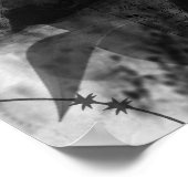 Poster Red Tulip (Coin)