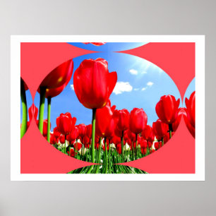 Poster Red Tulip Delft