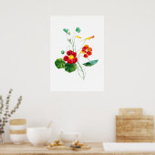 Poster Red Willowweed II Imprimer par Mary Vaux Walcott (Cuisine)