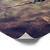 Poster Red Wing Blackbird (Coin)