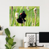 Poster Red Wing Blackbird sur Reeds (Bureau à domicile)