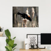 Poster Red Winged Blackbird (Bureau à domicile)