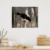 Poster Red Winged Blackbird (Cuisine)