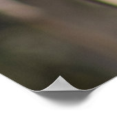 Poster Red Winged Blackbird (Coin)