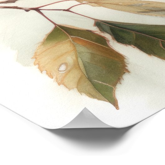 Poster Red Winging Blackbird Oiseau Art Imprimer l'affich (Coin)