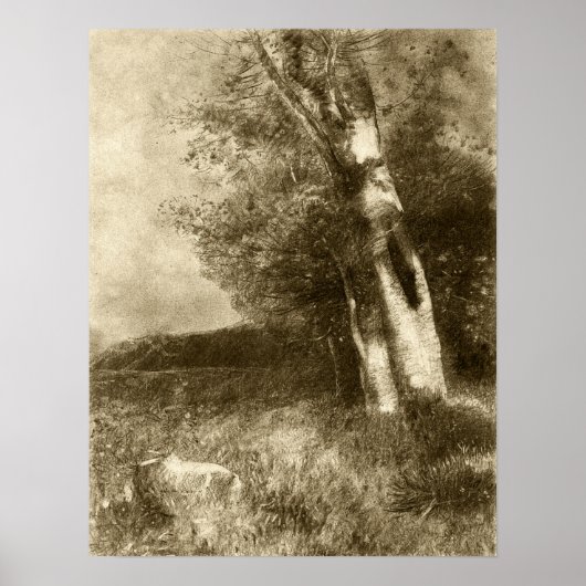Poster Redon - Paysage 1880 (Devant)