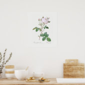 POSTER : REDOUTÉ : WITTE KABBAGE ROOS (Keuken)