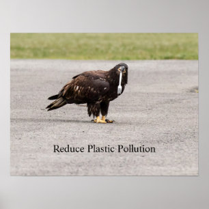 Poster Réduire La Pollution Plastique