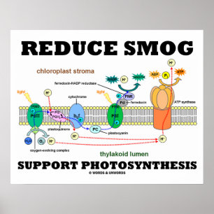 Poster Réduire la prise en charge du smog Photosynthèse L