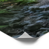 Poster "Redwood Creek", Muir Woods (Coin)