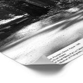 Poster Redwood Forest, Founder's Grove, 1966 (Coin)