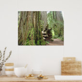 Poster Redwood Forest Trees d'art estampes Californie Red (Cuisine)