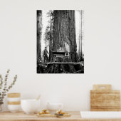 Poster REDWOOD LUMBERJACKS c. 1887 (Cuisine)