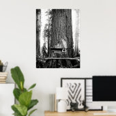 Poster REDWOOD LUMBERJACKS c. 1887 (Bureau à domicile)