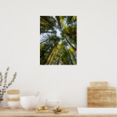 Poster Redwood National and State Parks, Californie (Cuisine)