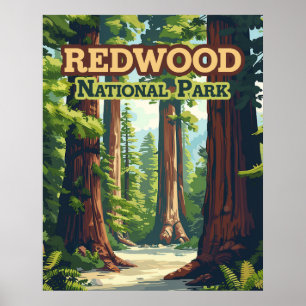 Poster Redwood National Park California Tree Retro
