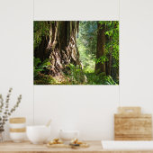 Poster Redwood Trees Forêt estampes Big Redwoes (Cuisine)