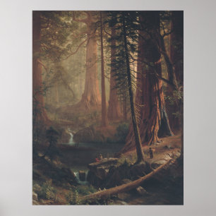 Poster Redwood Trees géant de Californie