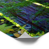 Poster Redwoods (Coin)