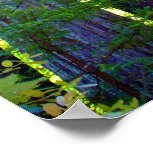 Poster Redwoods (Coin)