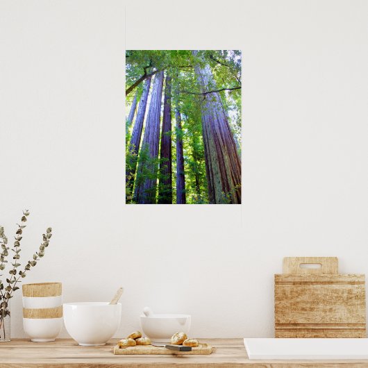 Poster Redwoods (Cuisine)