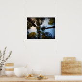 Poster Redwoods en quête (Cuisine)