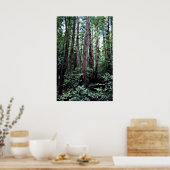 Poster Redwoods - Monument national de Muir Woods (Cuisine)
