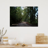 Poster Redwoods Mountain Road (Cuisine)