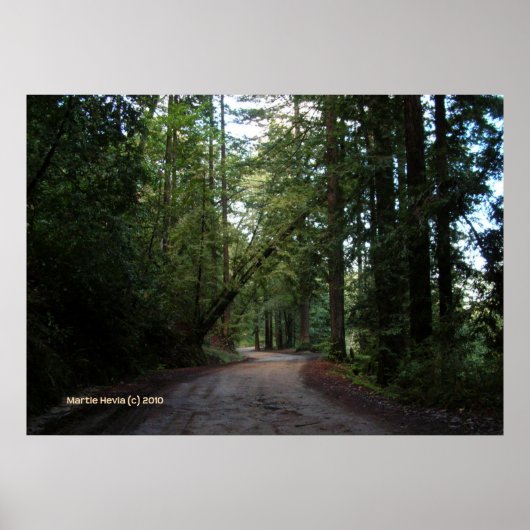 Poster Redwoods Mountain Road (Devant)