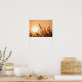 Poster Reed Sunset Nature Photo (Cuisine)
