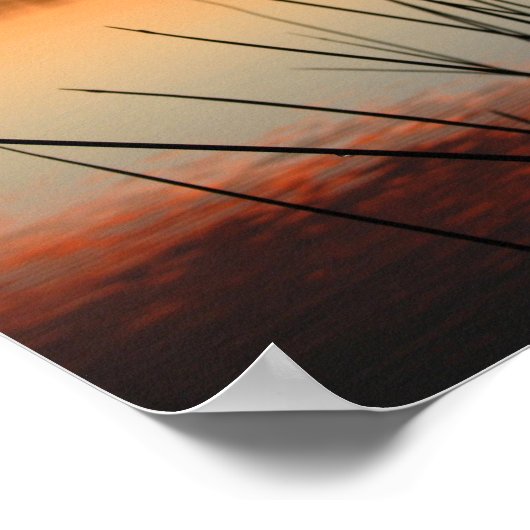 Poster Reeds and Lakeside Reflection at Sunset (Coin)