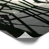 Poster Reeds Reflection Zen Photographie (Coin)