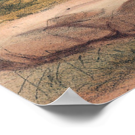 Poster Reeves Pheasant par Joseph Wolf (Coin)