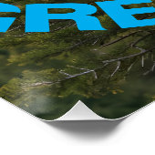 POSTER REFAIRE GRAND AMÉRICAIN EAGLE SCELEN (Coin)