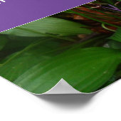 Poster Réfléchissez aujourd'hui et parlez sagesse en disa (Coin)