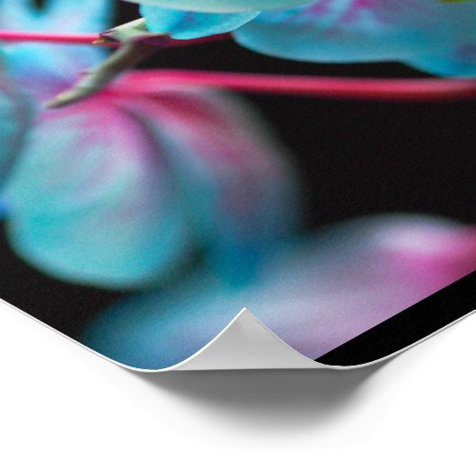 Poster Réflection de l'orchid bleu exotic (Coin)